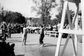 Enlarge photo 267
