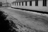 Enlarge photo 268