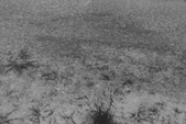 Enlarge photo 269