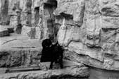 Enlarge photo 274