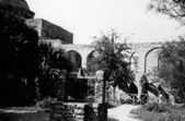 Enlarge photo 286