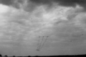Enlarge photo 293