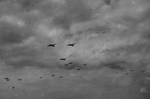 Enlarge photo 294