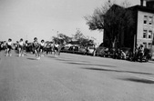 Enlarge photo 310