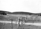 Enlarge photo 315