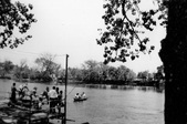 Enlarge photo 352