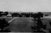 Enlarge photo 359