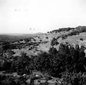 Enlarge photo 376