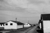 Enlarge photo 393