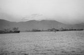 Enlarge photo 441