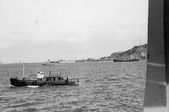 Enlarge photo 445