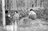 Enlarge photo 451