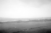 Enlarge photo 461
