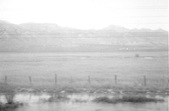 Enlarge photo 463