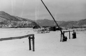 Enlarge photo 474