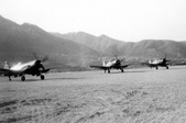 Enlarge photo 484