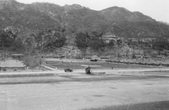 Enlarge photo 520