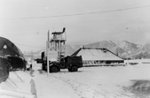 Enlarge photo 526