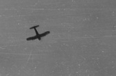 Enlarge photo 635