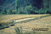 Enlarge photo 39