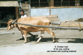 Enlarge photo 41