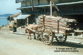 Enlarge photo 42