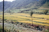 Enlarge photo 51