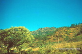 Enlarge photo 52