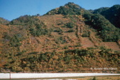 Enlarge photo 54