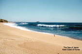 Enlarge photo 82