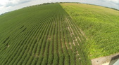Drone tour - Mc 1 - 08-08-15