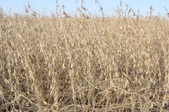Enlarge photo 117