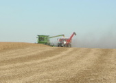 Enlarge photo 125