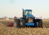 Enlarge photo 134