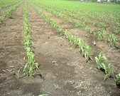 Enlarge photo 64
