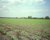 Enlarge photo 63