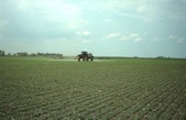 Enlarge photo 79