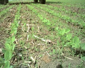 Enlarge photo 83