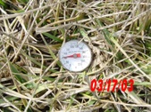 Enlarge photo 30