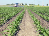 Enlarge photo 90
