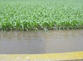 Enlarge photo 108