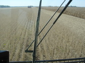 Enlarge photo 118