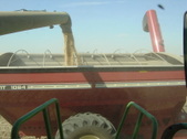 Enlarge photo 119