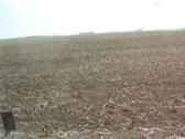 Enlarge MPEG 47