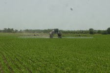 Enlarge photo 67
