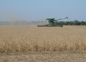 Enlarge photo 59