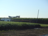 Enlarge photo 97
