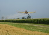 Enlarge photo 33