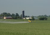 Enlarge photo 19
