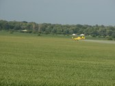 Enlarge photo 23